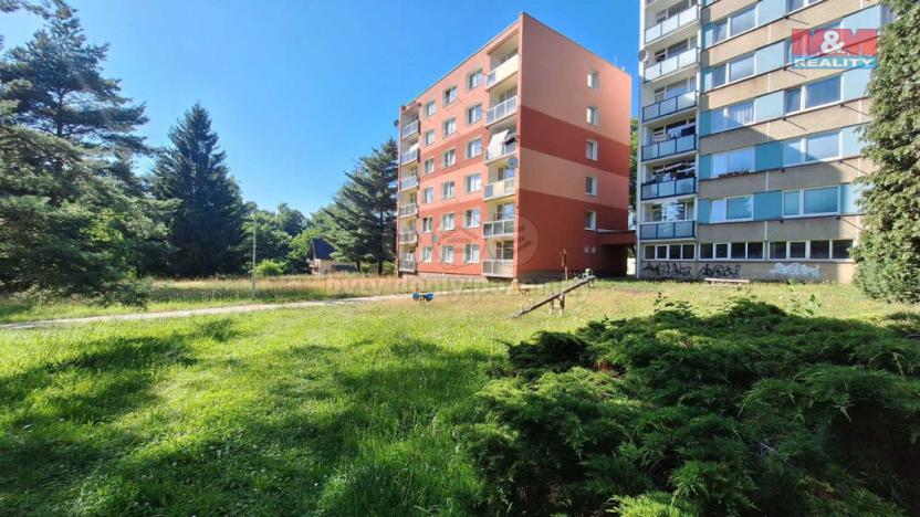 Prodej bytu 1+kk, Nový Bor, Sadová, 19 m2