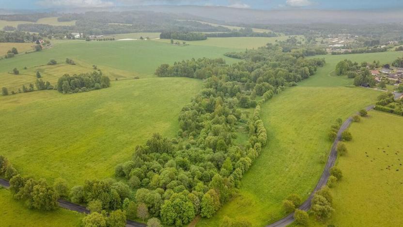 Prodej pole, Krajková, 54868 m2
