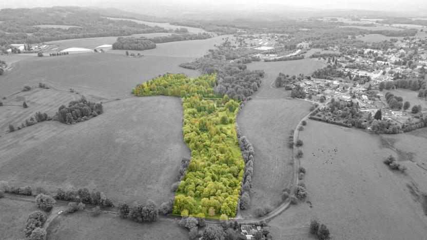 Prodej pole, Krajková, 54868 m2