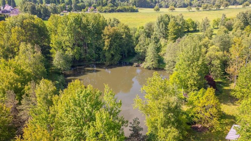 Prodej pole, Krajková, 54868 m2