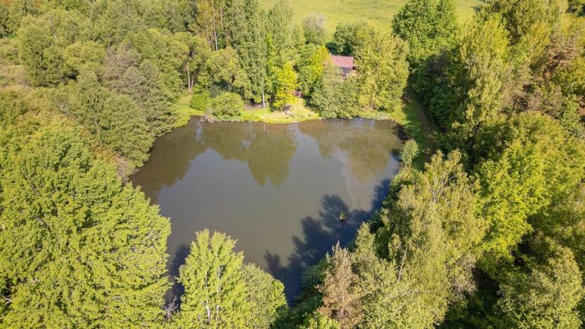 Prodej pole, Krajková, 54868 m2