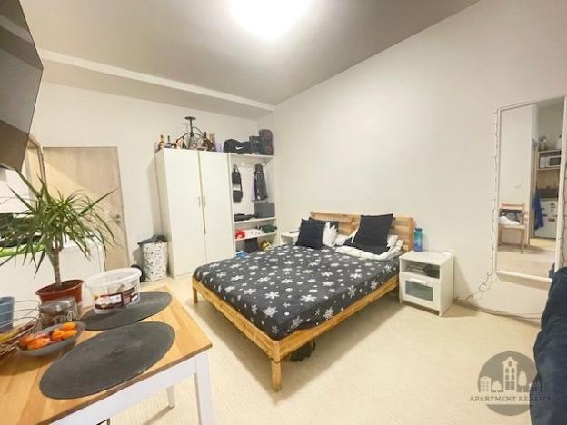 Pronájem bytu 1+kk, Praha - Karlín, Sokolovská, 30 m2