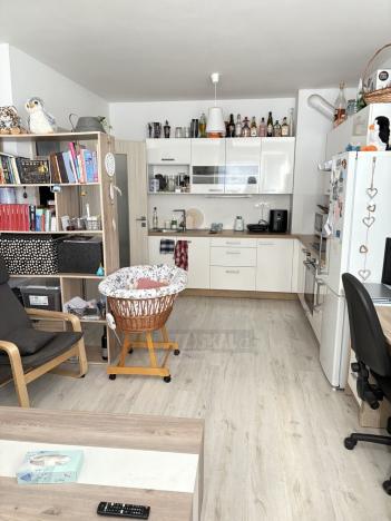 Pronájem bytu 2+kk, Včelná, Dolní, 42 m2