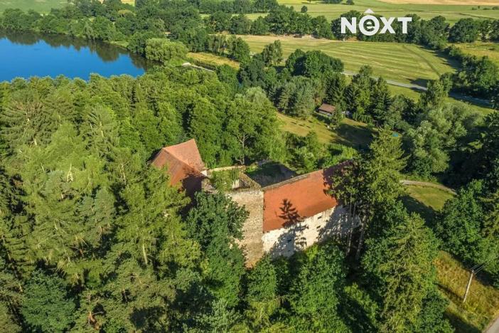 Prodej - jiné, Buzice, 1800 m2