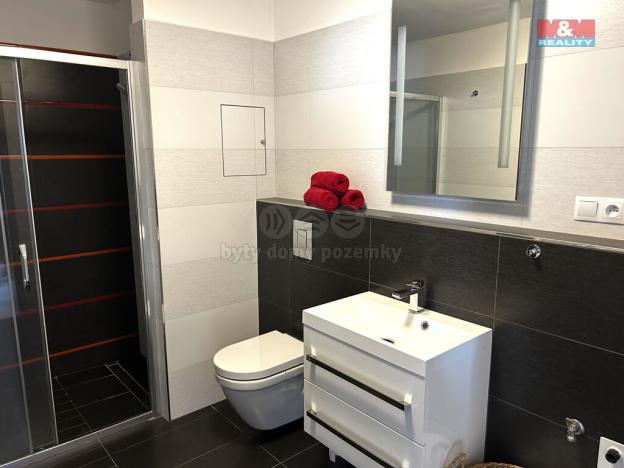 Pronájem bytu 2+kk, České Budějovice - České Budějovice 3, B. Smetany, 50 m2