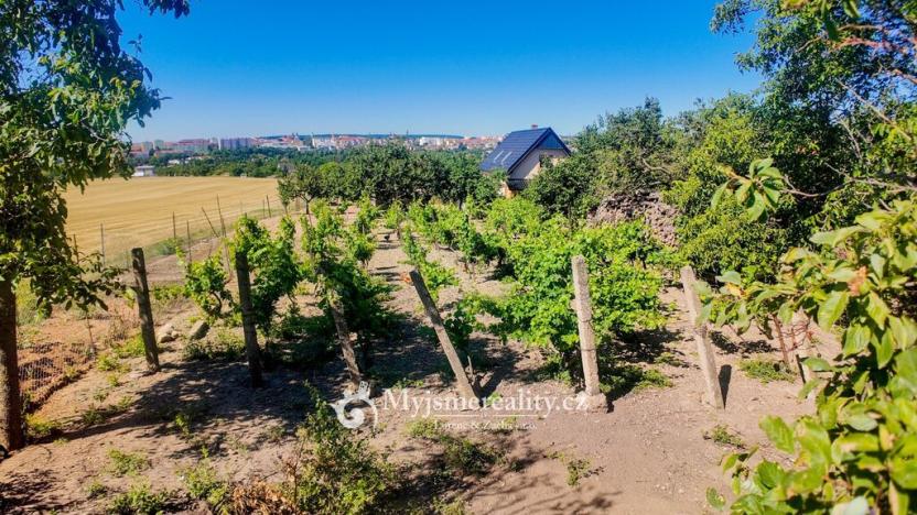 Prodej zahrady, Znojmo, Kuchařovická, 1132 m2