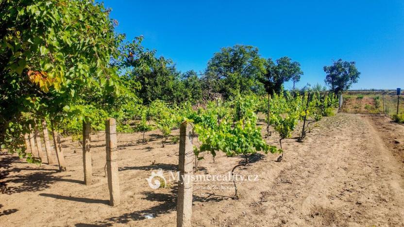 Prodej zahrady, Znojmo, Kuchařovická, 1132 m2