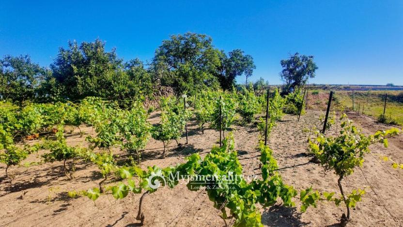 Prodej zahrady, Znojmo, Kuchařovická, 1132 m2