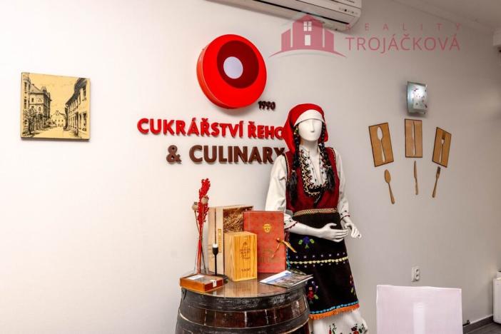 Prodej obchodního prostoru, Ostrava - Moravská Ostrava, Ahepjukova, 433 m2