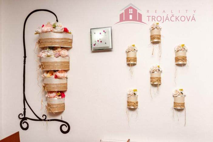 Prodej obchodního prostoru, Ostrava - Moravská Ostrava, Ahepjukova, 433 m2