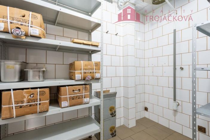 Prodej obchodního prostoru, Ostrava - Moravská Ostrava, Ahepjukova, 433 m2