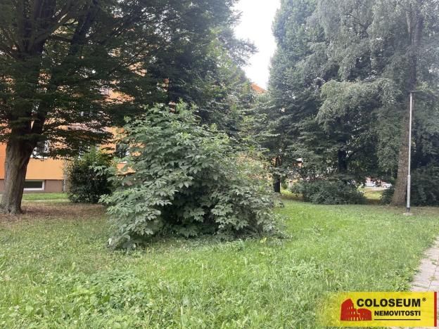 Prodej zahrady, Olomouc, 134 m2