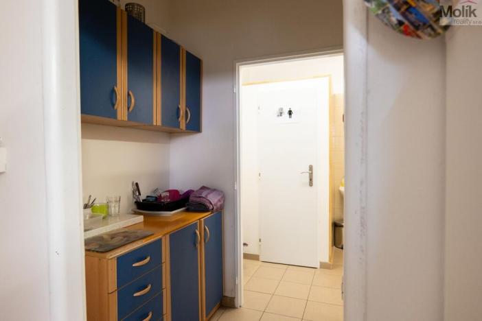 Prodej rodinného domu, Skršín, 500 m2