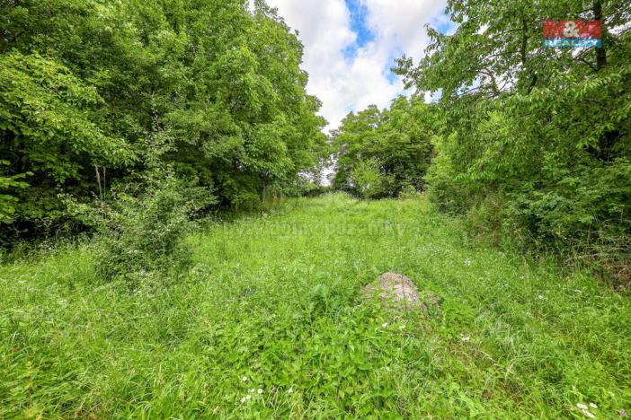 Prodej zahrady, Kokory, 463 m2