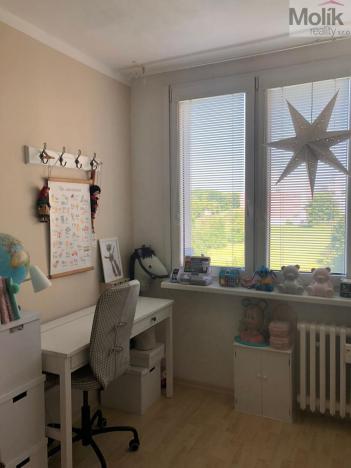 Prodej bytu 3+1, Most, Maxima Gorkého, 68 m2