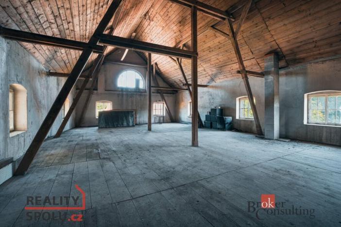 Prodej historického objektu, Horní Bříza, K Cihelně, 1170 m2