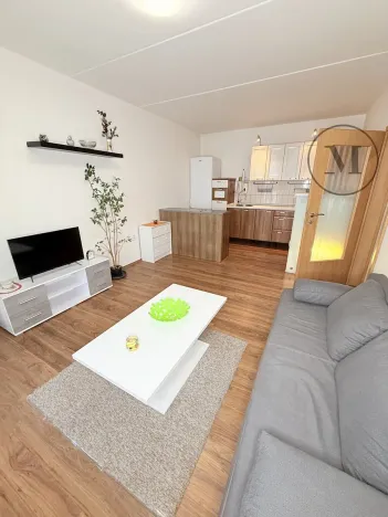 Pronájem bytu 2+kk, České Budějovice, Dlouhá, 40 m2