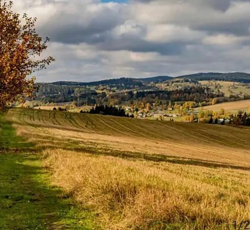 Prodej chalupy, Vysoké nad Jizerou, 165 m2