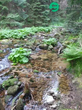 Prodej rodinného domu, Desná - Desná III, Riedlova, 147 m2