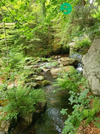 Prodej rodinného domu, Desná - Desná III, Riedlova, 147 m2