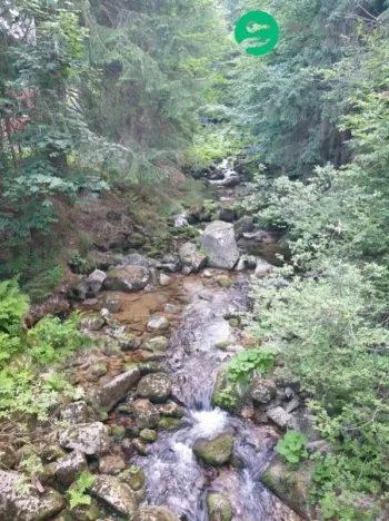 Prodej rodinného domu, Desná - Desná III, Riedlova, 147 m2