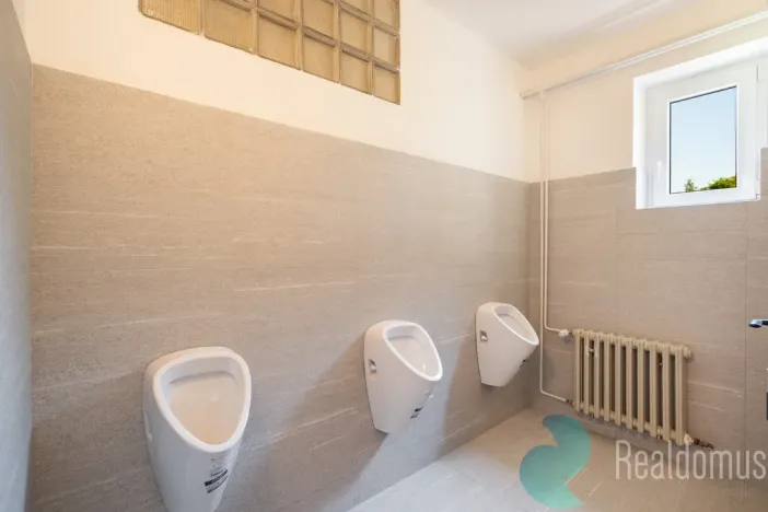 Pronájem kanceláře, České Budějovice, Školní, 351 m2