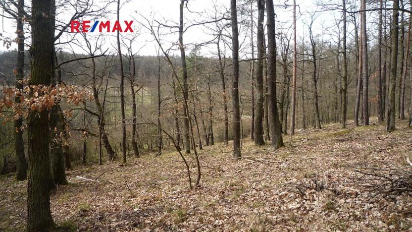 Prodej chaty, Plasy, 50 m2