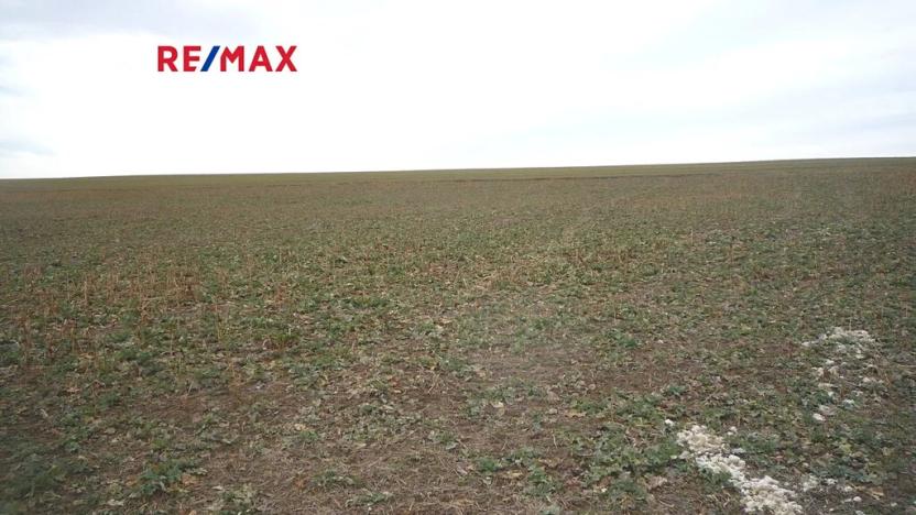 Prodej pozemku pro bydlení, Pavlíkov, 895 m2