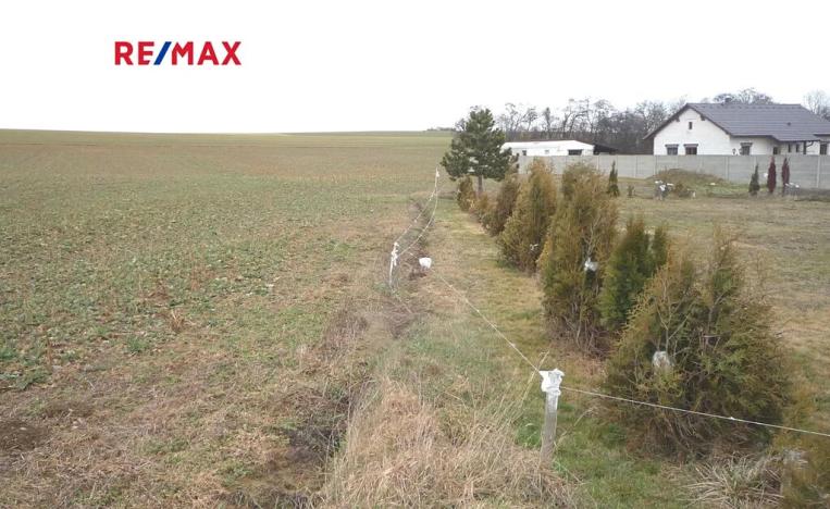 Prodej pozemku pro bydlení, Pavlíkov, 895 m2