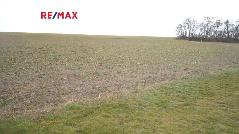 Prodej pozemku pro bydlení, Pavlíkov, 895 m2