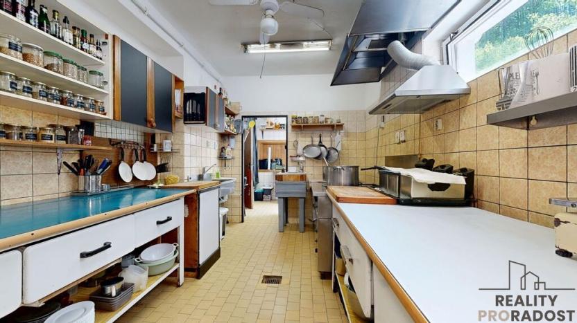 Prodej ubytování, Zábřeh - Dolní Bušínov, 600 m2