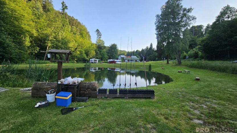 Prodej ubytování, Zábřeh - Dolní Bušínov, 600 m2