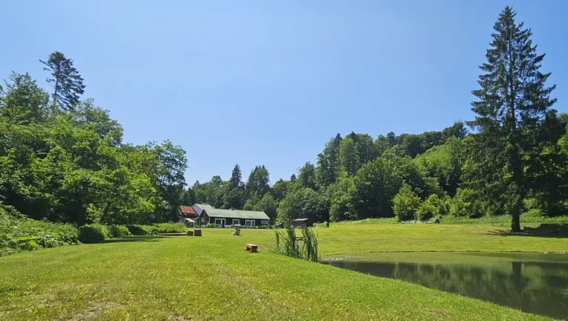 Prodej chaty, Zábřeh - Dolní Bušínov, 600 m2
