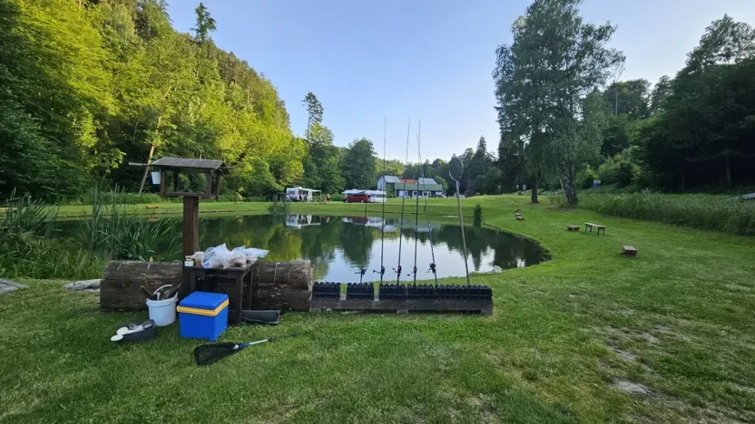 Prodej chaty, Zábřeh - Dolní Bušínov, 600 m2