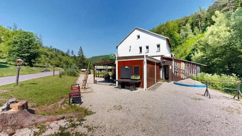 Prodej chaty, Zábřeh - Dolní Bušínov, 600 m2