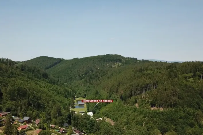 Prodej chaty, Zábřeh - Dolní Bušínov, 552 m2