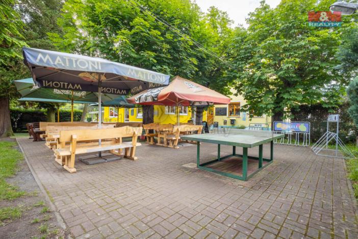 Prodej restaurace, Kyselka - Radošov, 15771 m2