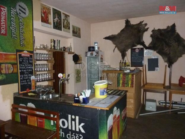 Prodej restaurace, Česká Čermná, 590 m2