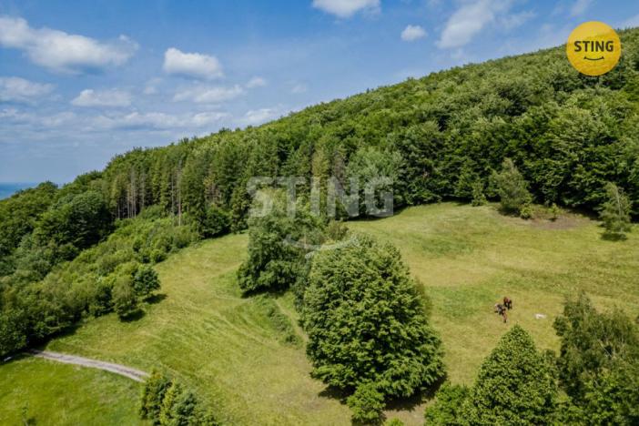 Prodej pozemku pro bydlení, Bystřice, 22090 m2