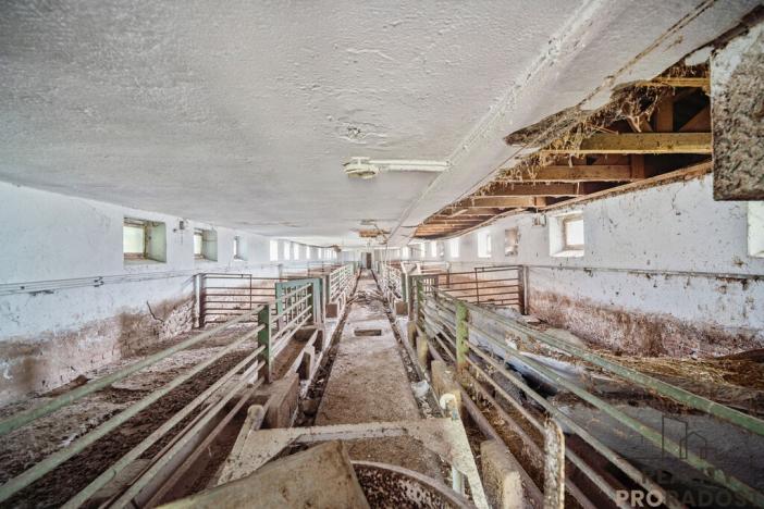 Prodej zemědělského objektu, Přelouč - Mělice, 7117 m2