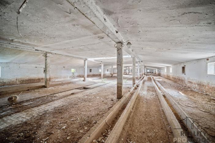 Prodej zemědělského objektu, Přelouč - Mělice, 7117 m2