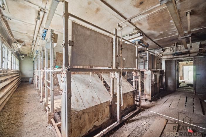 Prodej zemědělského objektu, Přelouč - Mělice, 7117 m2