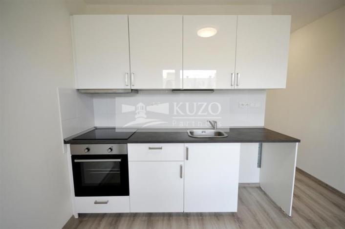 Pronájem bytu 1+1, Chomutov, Kostnická, 35 m2