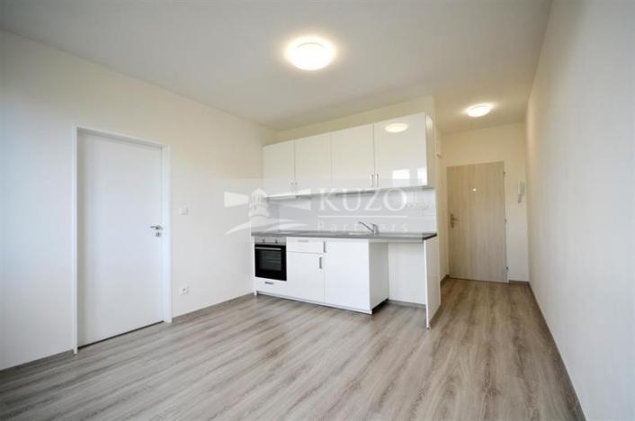 Pronájem bytu 1+1, Chomutov, Kostnická, 35 m2