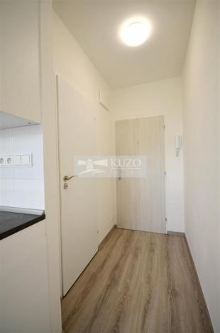 Pronájem bytu 1+1, Chomutov, Kostnická, 35 m2