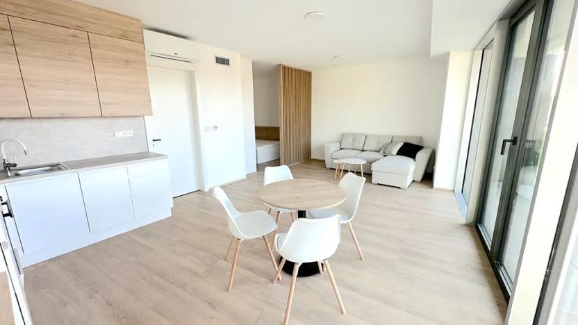 Pronájem bytu 1+kk, Brno, Nové sady, 48 m2