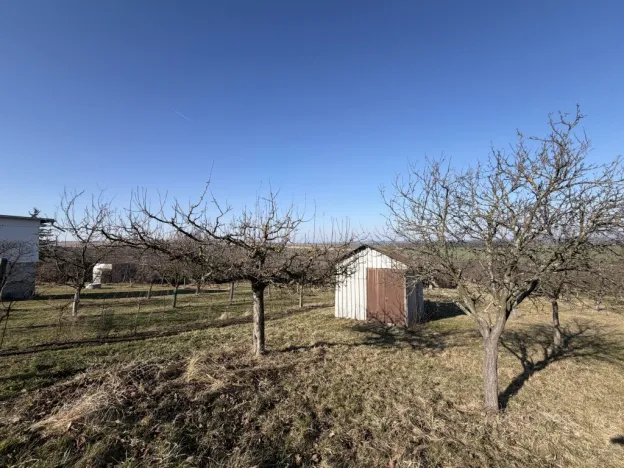 Prodej sadu/vinice, Strážnice, 4353 m2