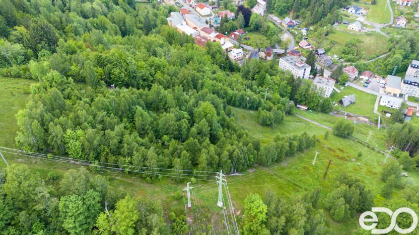 Prodej komerčního pozemku, Desná - Desná I, 14182 m2