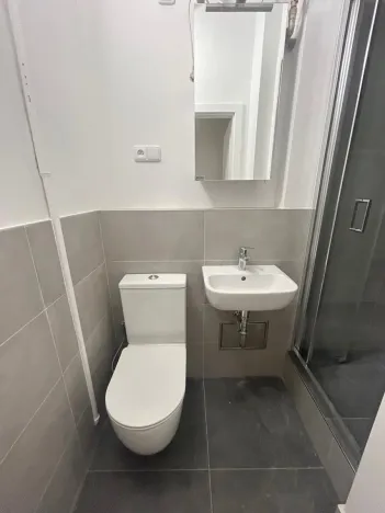 Pronájem bytu 1+kk, Praha - Vinohrady, Soběslavská, 30 m2