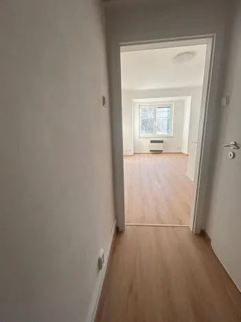 Pronájem bytu 1+kk, Praha - Vinohrady, Soběslavská, 30 m2